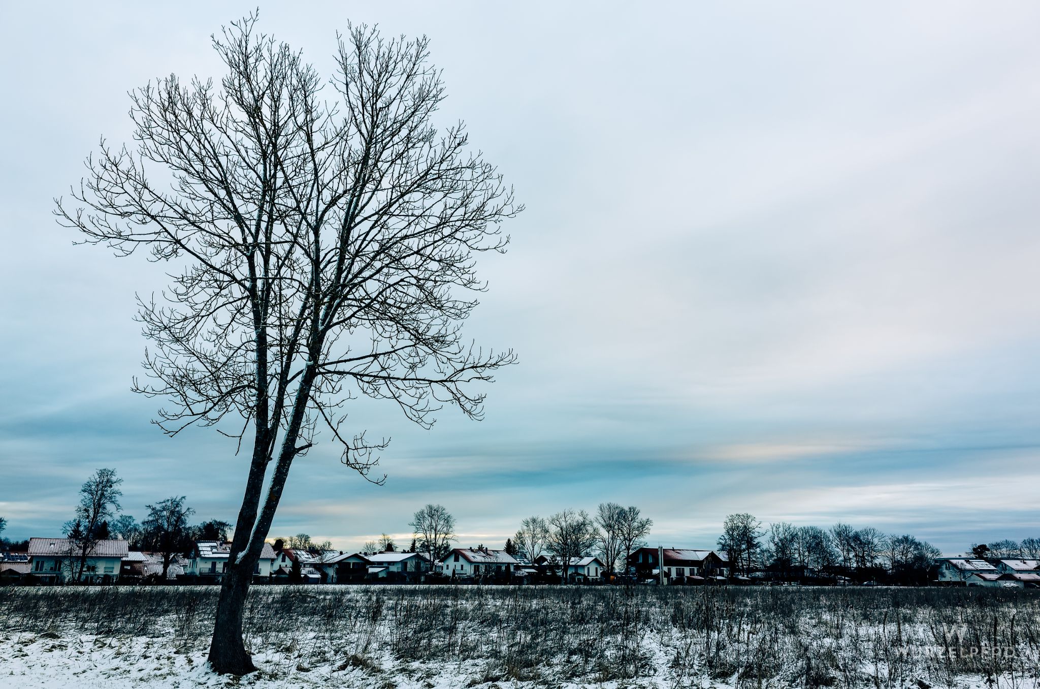 Verhangener Wintermorgen